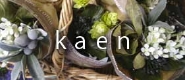 kaenweb.jpg